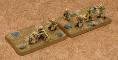 HMG Platoon & Mortar Section